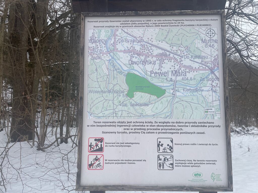 IMG 7859