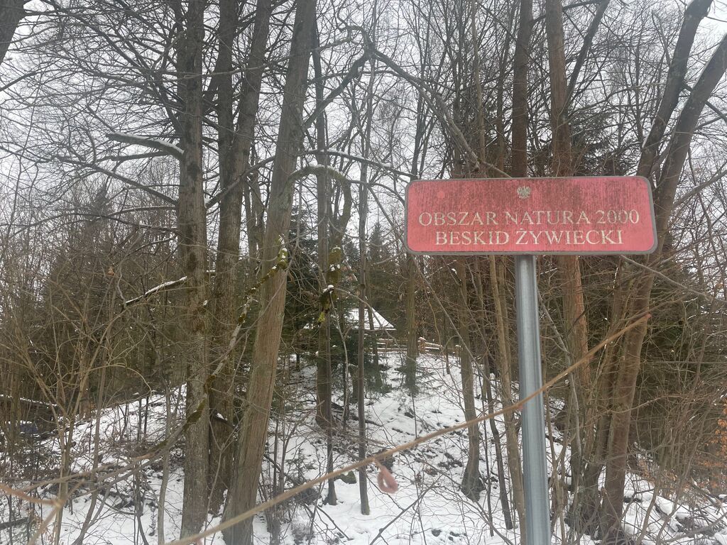 IMG 7859
