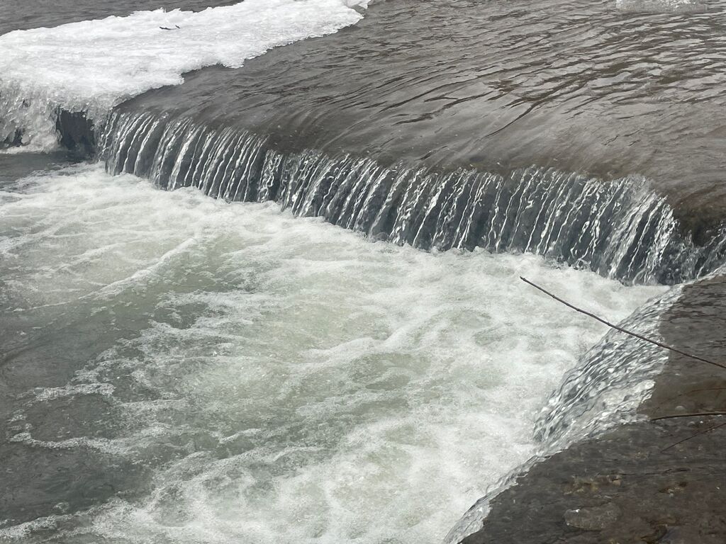 IMG 7859