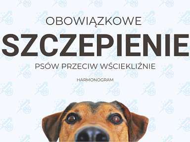 Obowiązkowe szczepienie przeciw wściekliźnie wisla 2025