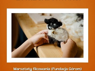 cała polska samży pączki zywiec final