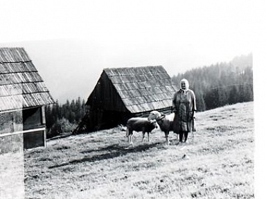 michal sobala slady w beskidach badania