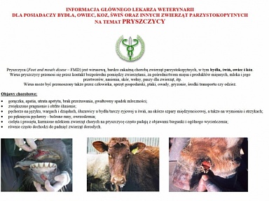 Ognisko pryszczycy na terenie Węgier