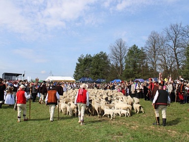 Sezon pasterski rozpoczęty!