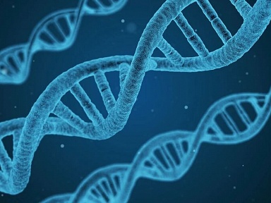 Polscy naukowcy blisko przełomu w leczeniu ultrarzadkiej choroby genetycznej